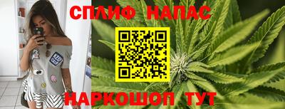PSILOCYBIN Донской