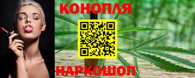 PSILOCYBIN Донской